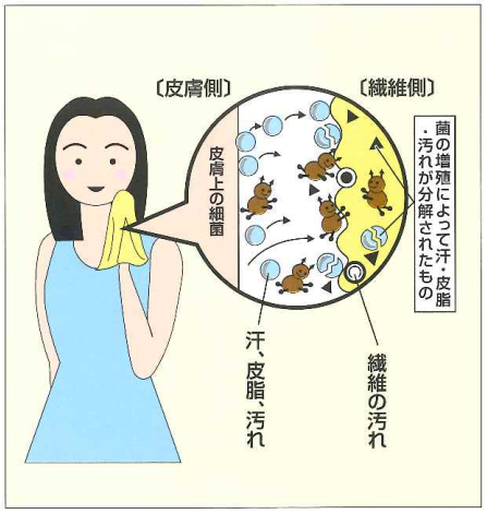 汗をかいた時などの臭いの原因